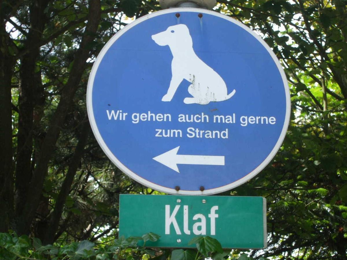Midlum Zaunkoenig